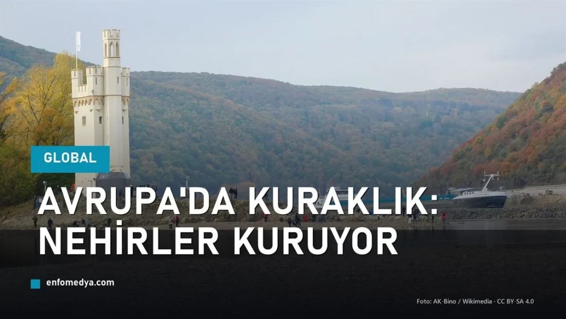Ren nehrinde düşük su seviyesi ve açığa çıkan yatak — Avrupa kuraklığı