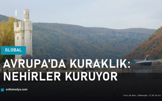 Ren nehrinde düşük su seviyesi ve açığa çıkan yatak — Avrupa kuraklığı