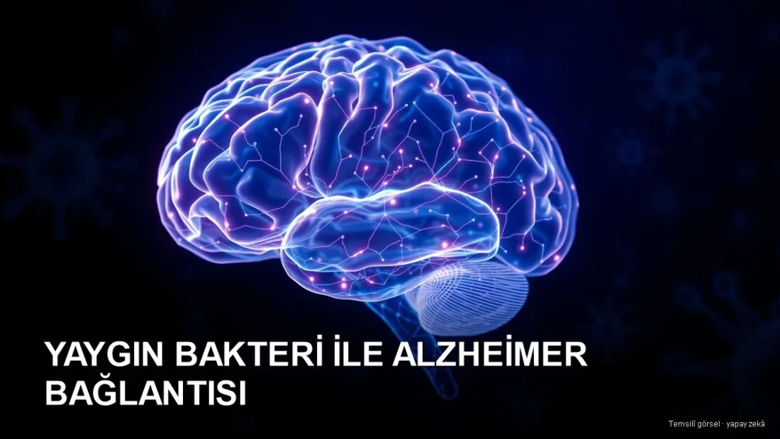 İnsan beyni ve mikrop kavramı — bakteri ve Alzheimer bağlantısı