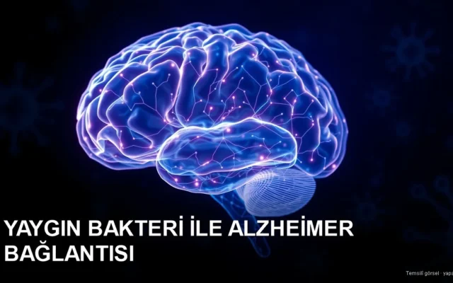İnsan beyni ve mikrop kavramı — bakteri ve Alzheimer bağlantısı