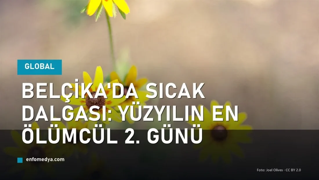 Belçika’da sıcak dalgası: yüzyılın en ölümcül 2. günü