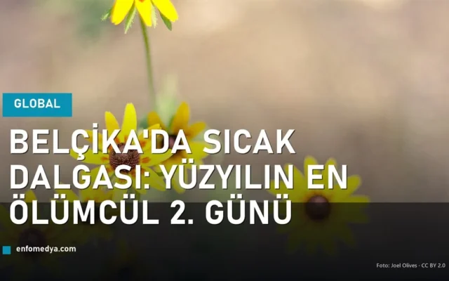 Kavurucu yaz güneşi — Belçika'daki ölümcül sıcak hava dalgası