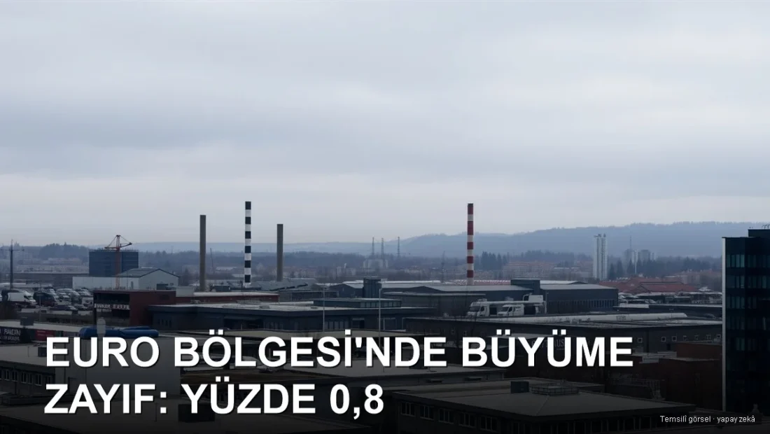 Euro Bölgesi’nde büyüme zayıf: yüzde 0,8 beklentisi