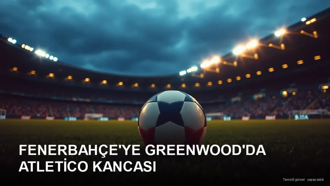Fenerbahce transfer - temsili gorsel
