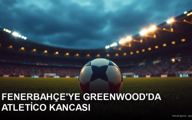 Fenerbahce transfer - temsili gorsel
