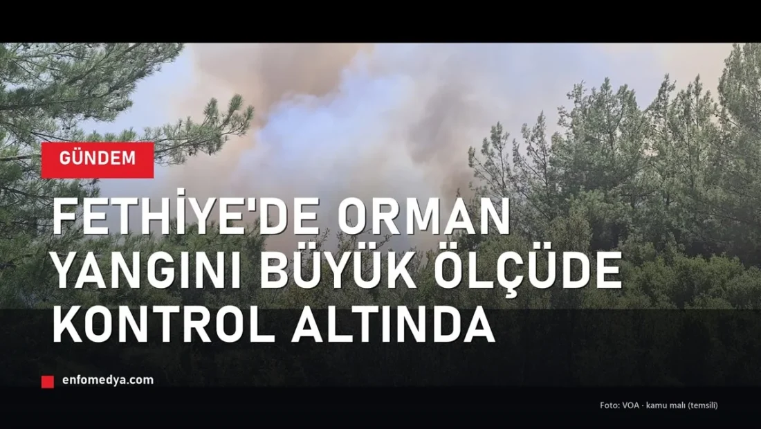 Fethiye orman yangını: 5 uçak 14 helikopterle müdahale