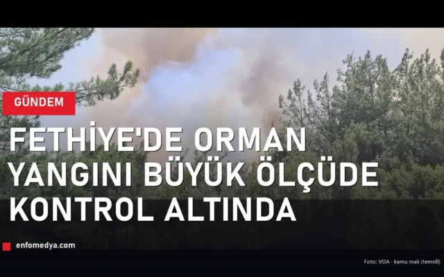 Fethiye orman yangınına havadan müdahale — Muğla