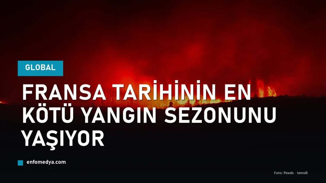 Orman yangini alevleri - Fransa tarihinin en kotu yangin sezonu (temsili)