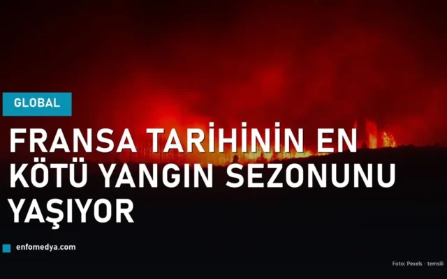 Orman yangini alevleri - Fransa tarihinin en kotu yangin sezonu (temsili)