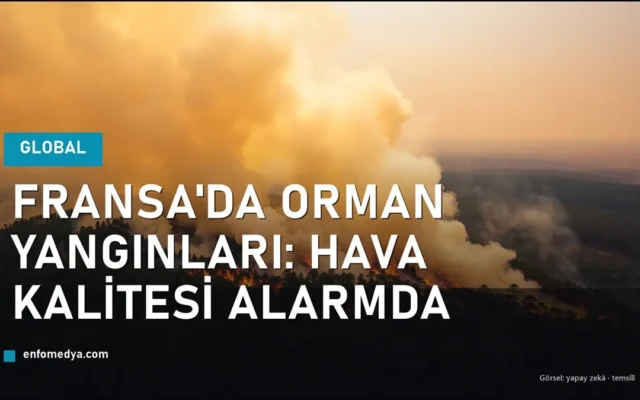 Fransa güneybatısında orman yangını ve yükselen duman