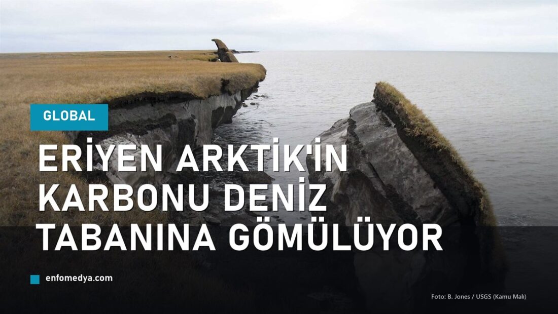 Eriyen Arktik karbonu denize akıyor: deniz tabanı yutuyor