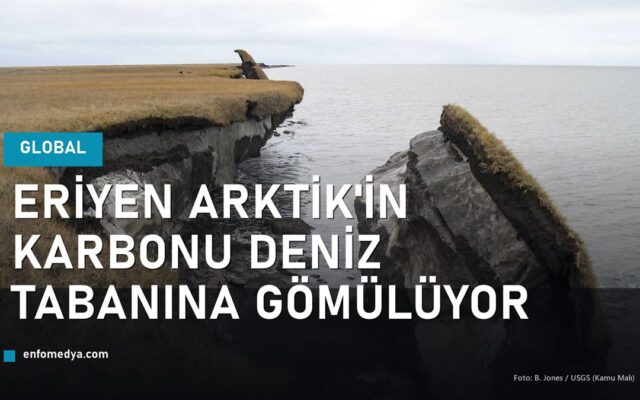 Arktik'te denize doğru çöken buz açısından zengin permafrost kıyısı