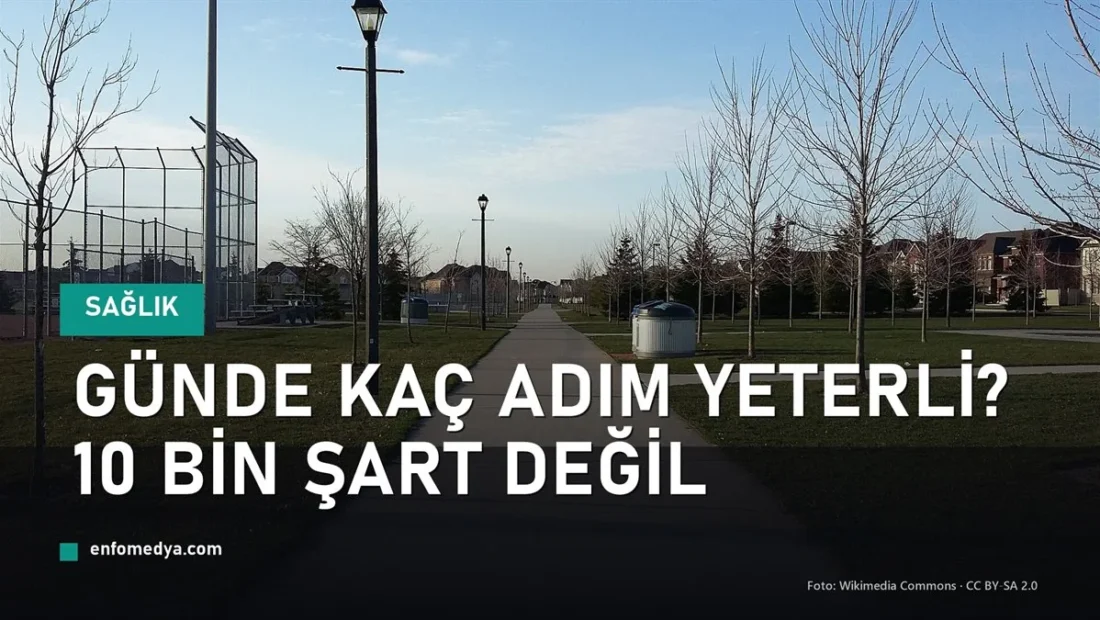 Günde kaç adım yeterli - yürüyüş yolu