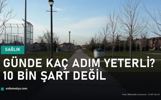 Günde kaç adım yeterli - yürüyüş yolu